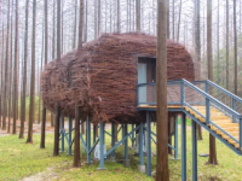 Dongtai Huanghai Forest Park Cabin Cluster Hotels in Dongtai