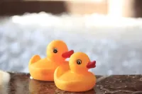 Urban Hotel Tokyo Shinmatsudo Hotels in Nagareyama