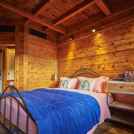 Jiurushan Cat's Nest B & B