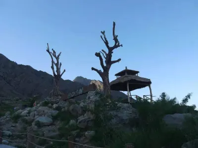 Helan Mountain Rock Art Ancient Village Ancient Forest Homestay