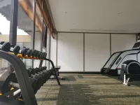 Swan Lake Resort Hotel - Gym