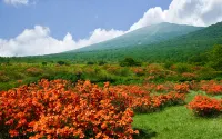 Crowne Plaza - ANA RESORT APPI KOGEN - Mountain view