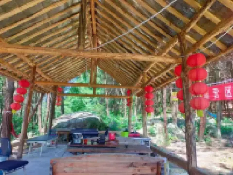 Natural Oxygen Bar Home