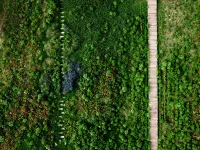 Nalati Huashan Youshui Garden Homestay Hotels near Nalati Hayin Sai Folk Village