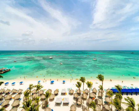 Hyatt Regency Aruba Resort, Spa and Casino Hotels in Palm Beach