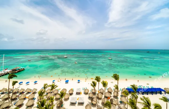 阿魯巴島凱悦度假酒店