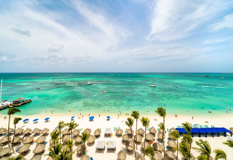 a beautiful beach scene with clear blue water , white sand , and palm trees lining the shore at Hyatt Regency Aruba Resort, Spa and Casino