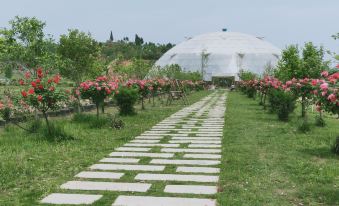 Wudang Mountain Little Ant Ecological Farm Homestay