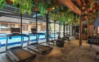 Xiansu - Gym
