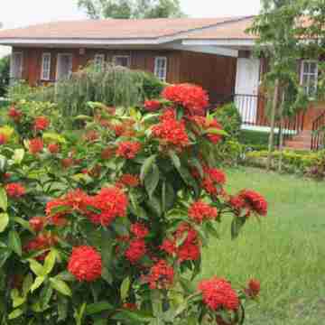 Batika Resort Sauraha Hotel Exterior