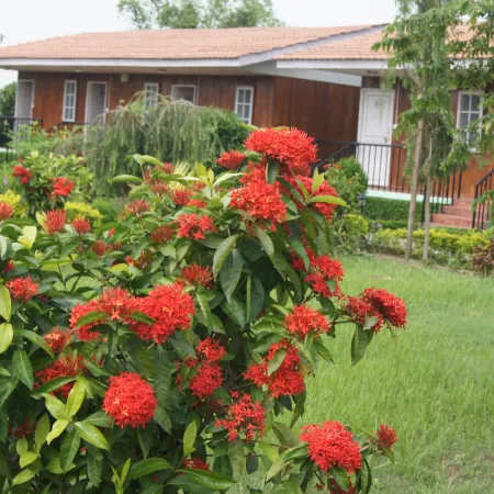 Batika Resort Sauraha