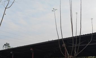 Yibin Juxian Hotel
