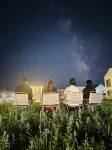That Fireworks · Designer Homestay (Zhaosu Branch) - واي فاي