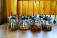 Da Hinggan Ling Yunxi Forest Scenery Yangxin Valley - breakfast