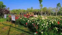 Vienna 3 Best Hotel (Alar Tarim University) - Fitnessstudio