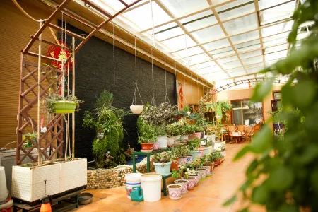 Yuzhong Jinbai Hotel Отели рядом с достопримечательностью «Center Square»