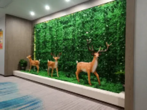 Jishui Shangdu Star Hotel Jishui İlçesi otelleri