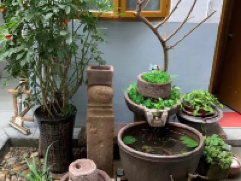 泰寧泰何苑民宿 泰寧のホテル