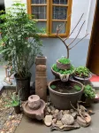 Taining Taiheyuan Homestay
