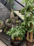 畢節祥逸精品飯店 - 2 星級