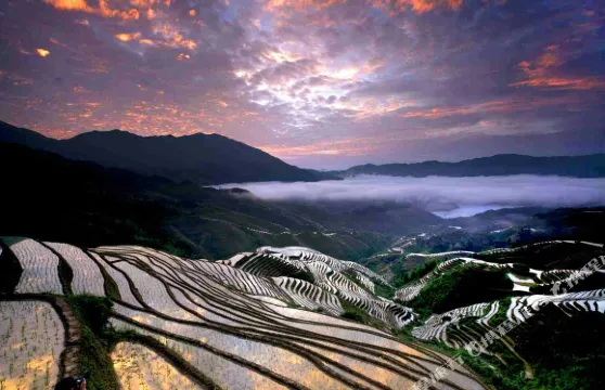 龍脊梯田景園山莊（金佛頂纜車店）