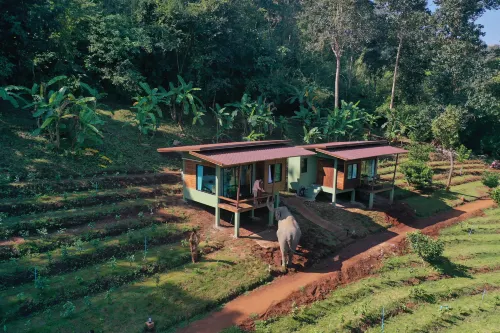 Chiang Mai Elephant Friends