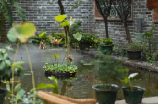 Sudi Courtyard Hotels near Shunfeng Mountain Park