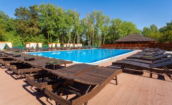 Sosnovyij Bor Park-Hotel