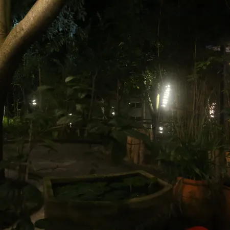 Renshou 6118 Homestay