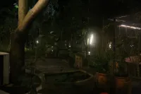 the Garden. Empress 6118 Home Stay Hotel