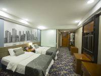 库尔勒金星大酒店 - 非繁高级双床房