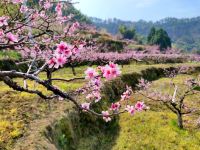 千岛湖青溪山居民宿 - 酒店附近