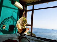 Shengsi wolfberry Shengshan Island Youth Hostel