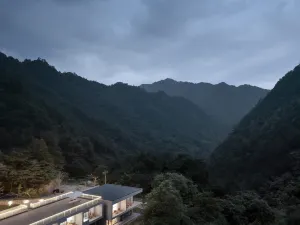 Stray Birds Hotel