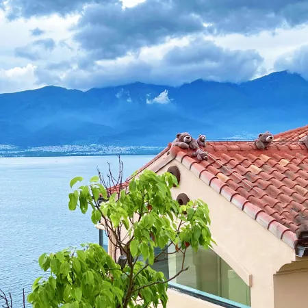 Lisu · Zhenxinghe | Cliffside Sea-view Vacation Homestay in the Clouds