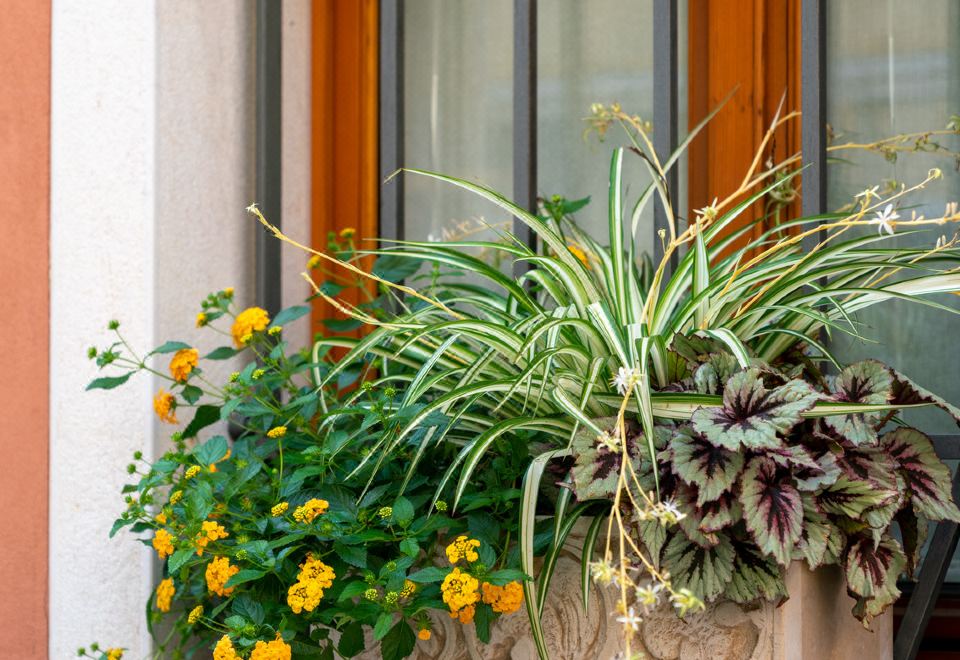 팔라초 산 루카 욕실