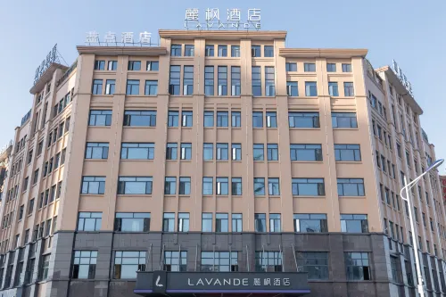 Blue Dot E-Sports Hotel (Shaoyang High-Speed Railway Station Weiyuan Square Branch） - Esports