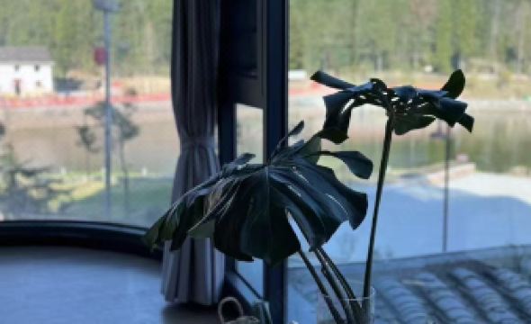 Miaoxiaoyuan No. 9 Homestay