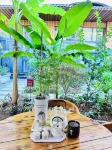 Songxi Binnan Homestay - 2 stelle