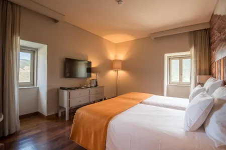 Vila Gale Douro Vineyards