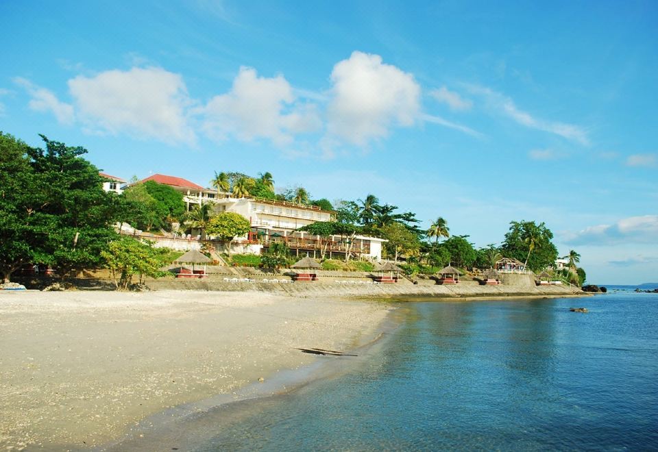 a beach with a sandy shore , palm trees , and buildings near the water , under a blue sky with white clouds at Almont Beach Resort