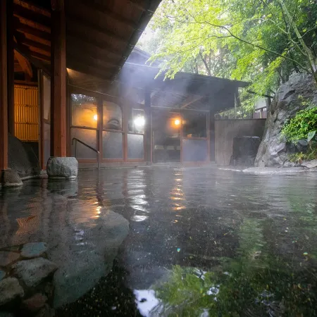 Yufuin Onsen Hinoharu Ryokan