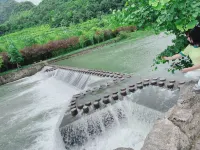 Meitan Jingxin Homestay - pet friendly