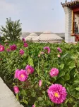 Saibei B&B Park Su Courtyard Các khách sạn ở Trác Tư