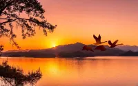 Atour Hotel Qiandao Lake Central Lake District - Mountain view