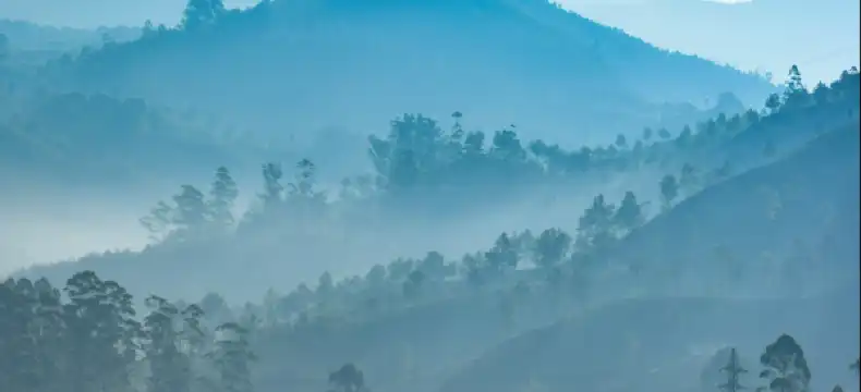 โรงแรมในอำเภอ กะเปอร์