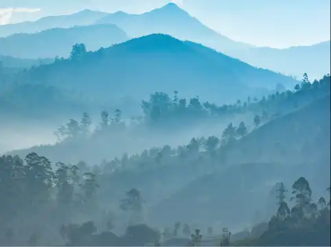 奧利夫品質住宿