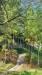 Hidden River view · Courtyard family vacation Courtyard residential quarters (Ningguo Shop)