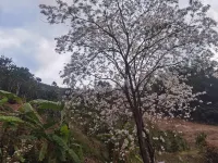 Baoshan Dazhou Homestay