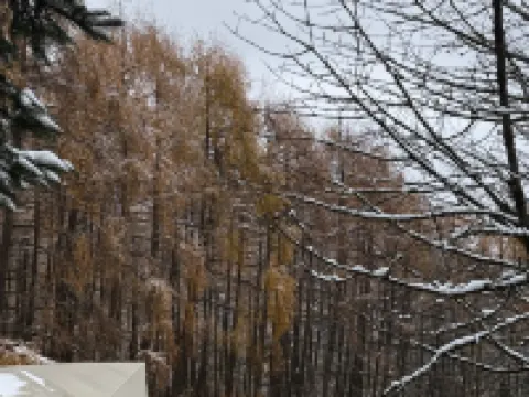 Great Love · Seasonless Ranch (Shenmu Lei) Hotel a Baoxing